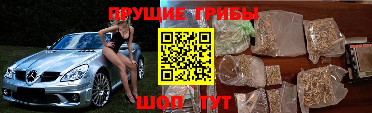 Галлюциногенные грибы мухоморы  Псилоцибиновые грибы MAGIC MUSHROOMS  Вход с VPN  Тавда 